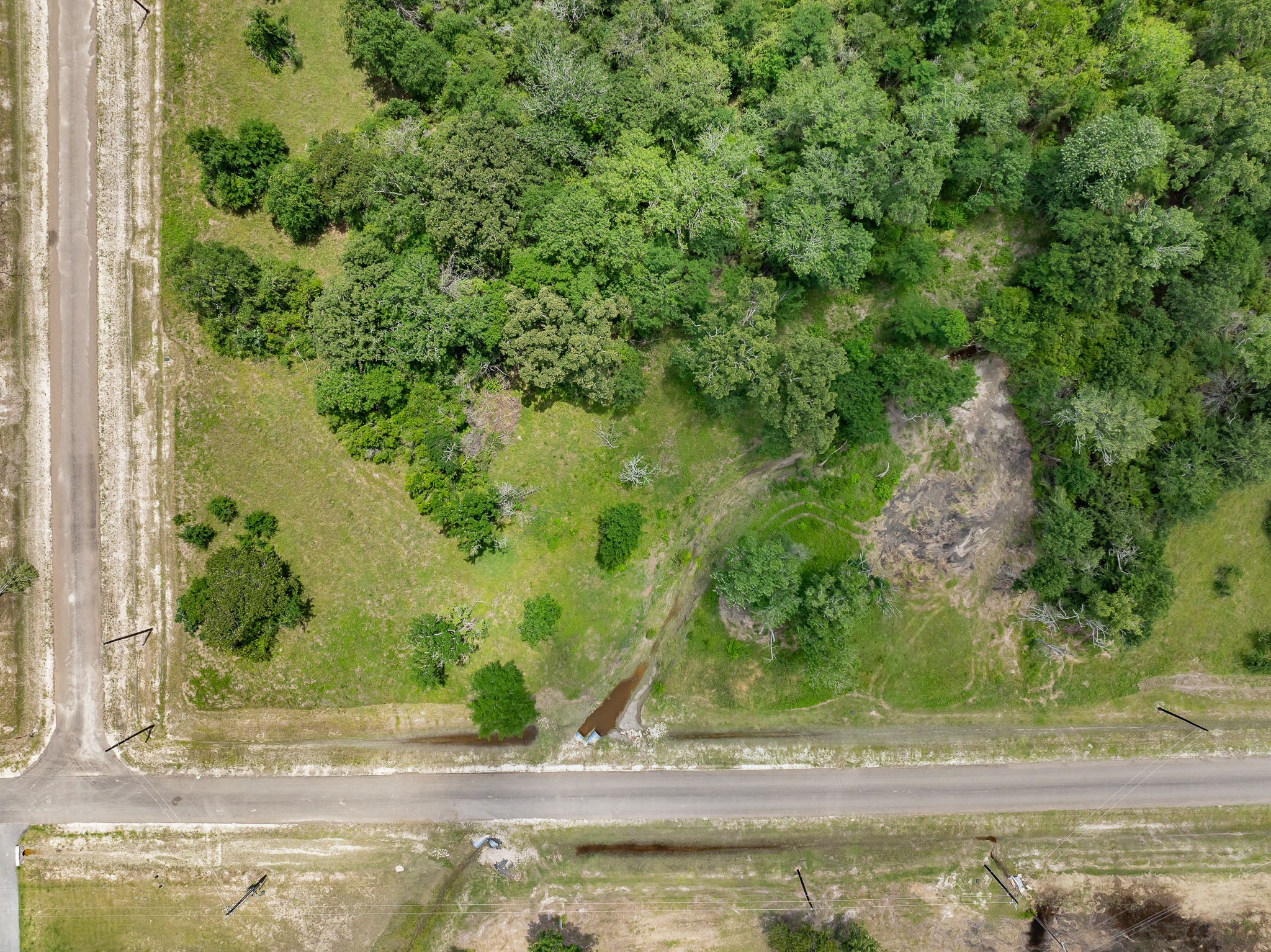 10649 Atakapan Trail Property Photo 9