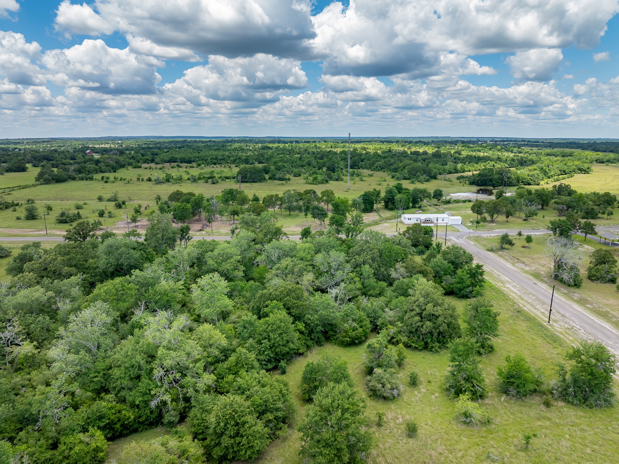 10649 Atakapan Trail Property Photo 12