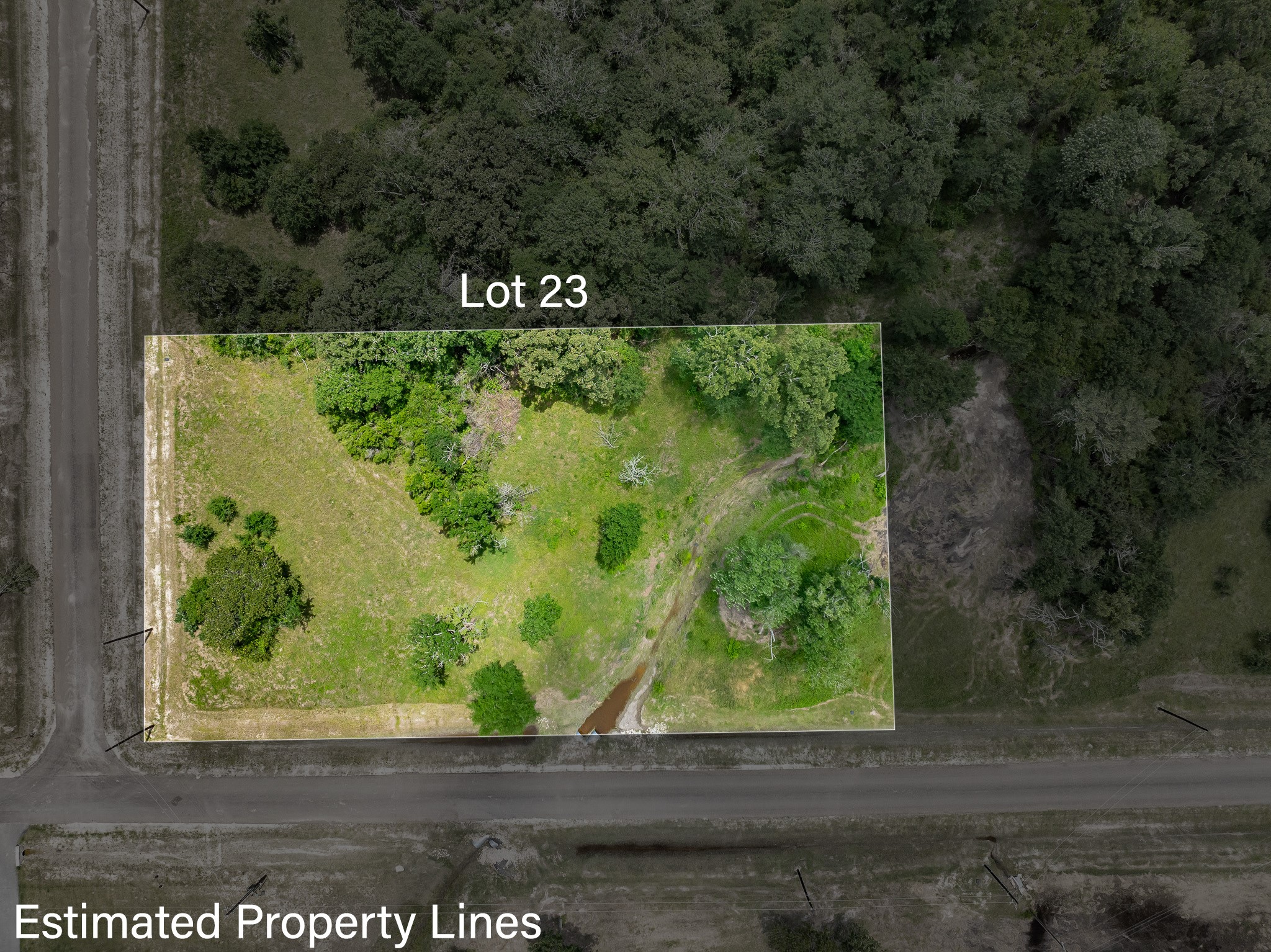 10649 Atakapan Trail Property Photo 14