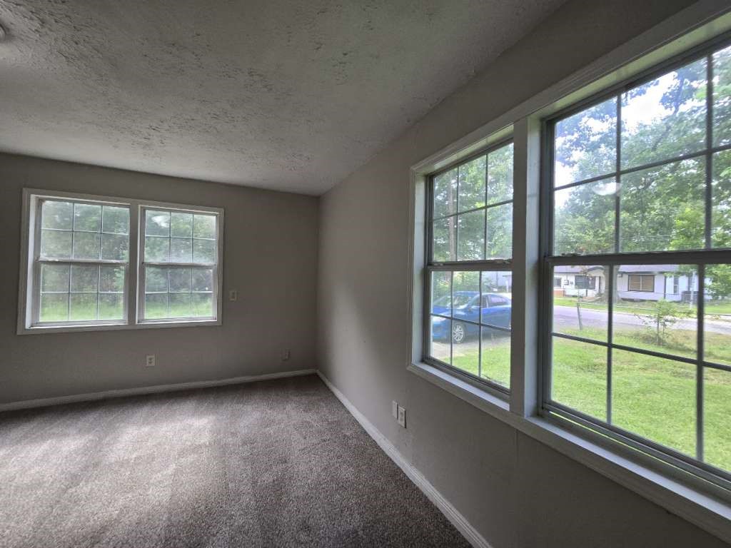 222 Arcadian Drive Property Photo 3