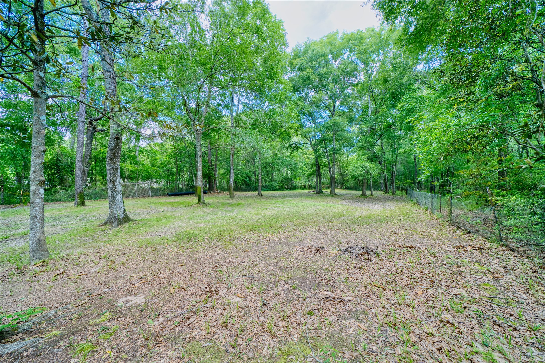 103 County Road 370 Property Photo 32
