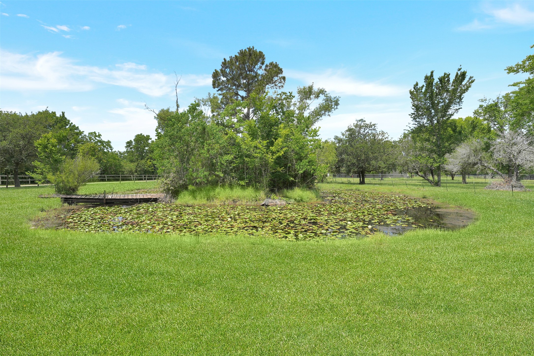 2750 County Road 48 Property Photo 35
