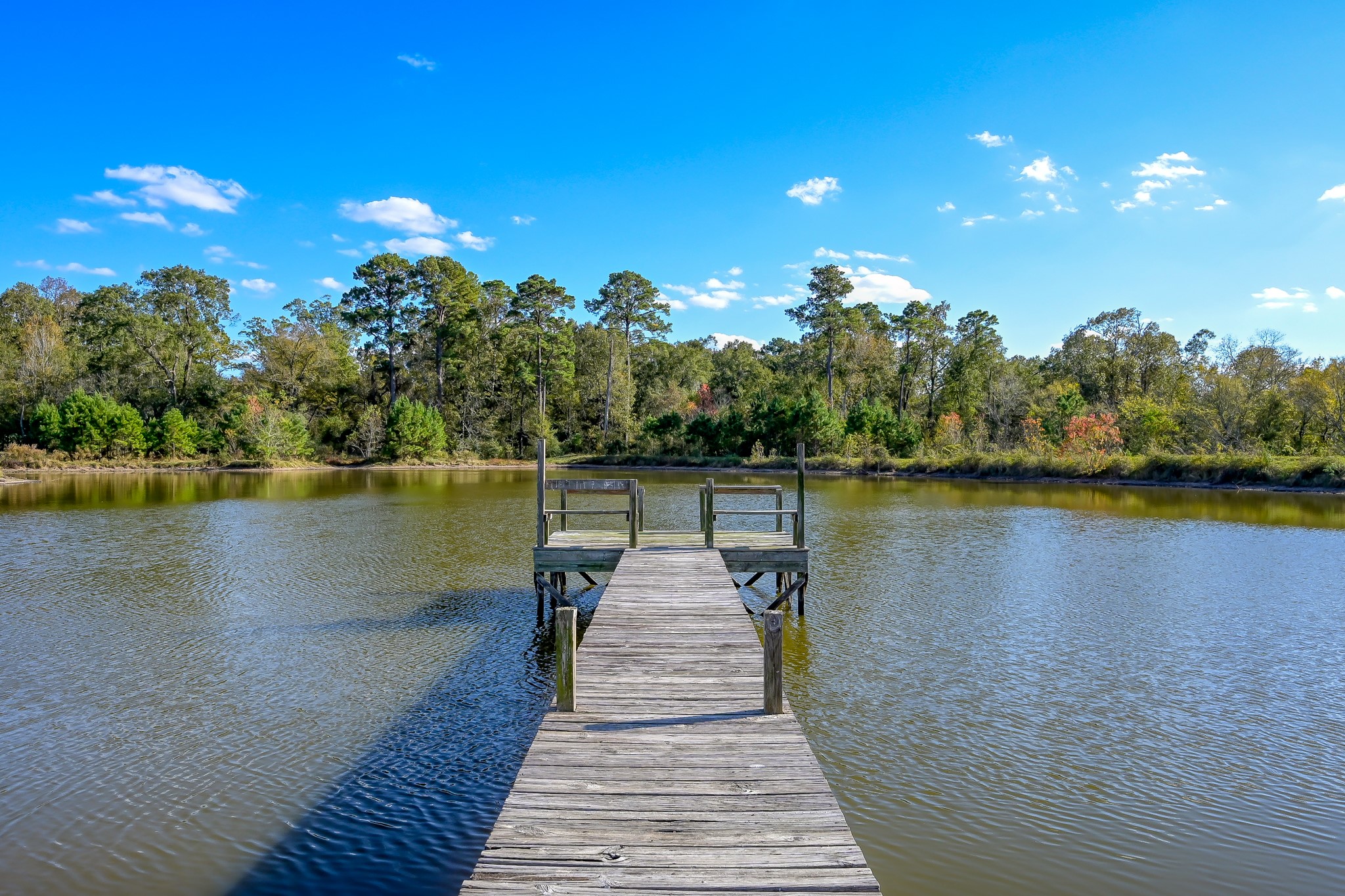 125 Acres Spring Branch Road Property Photo