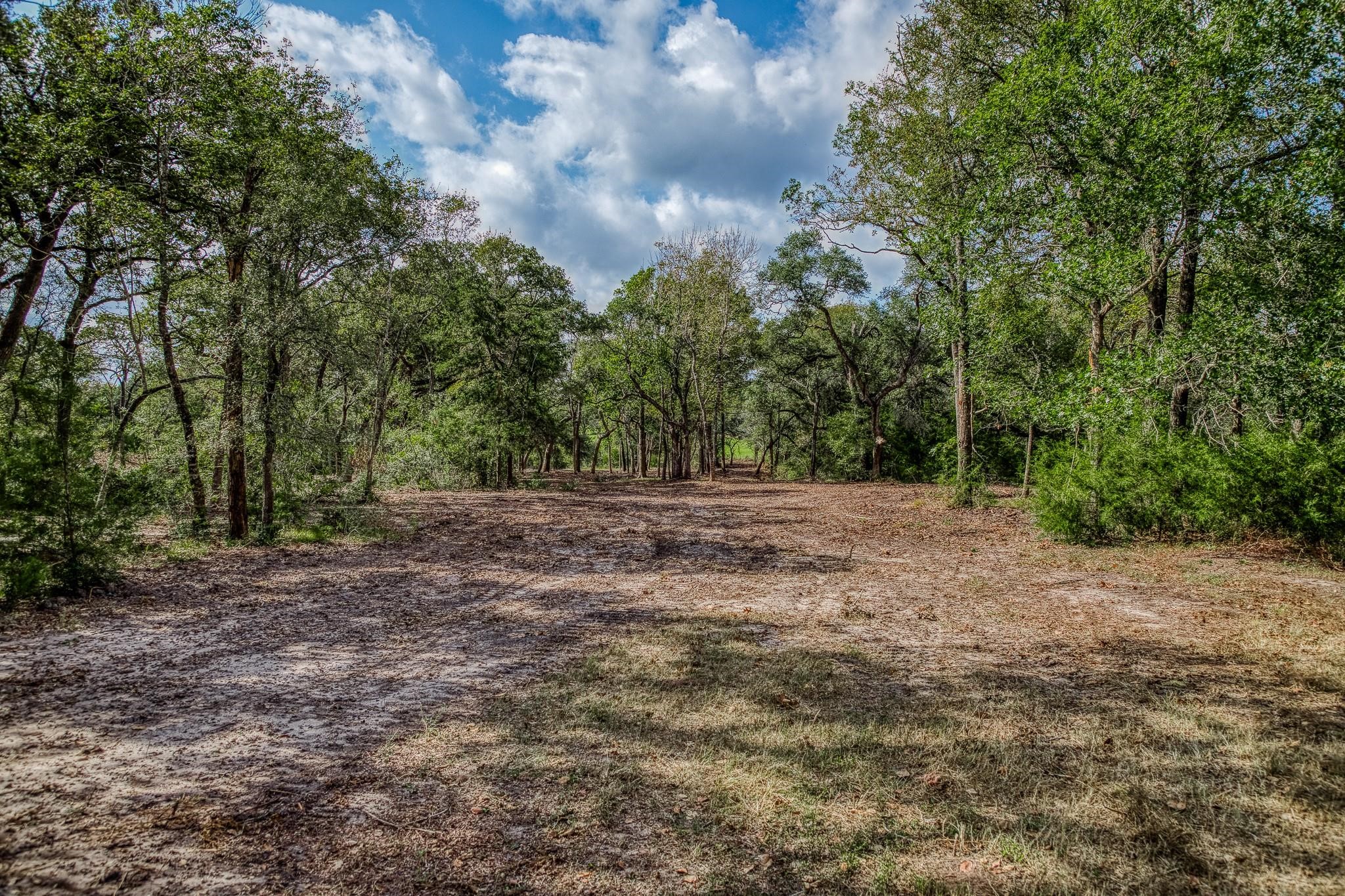Tbd Sun Oil Road Property Photo 4