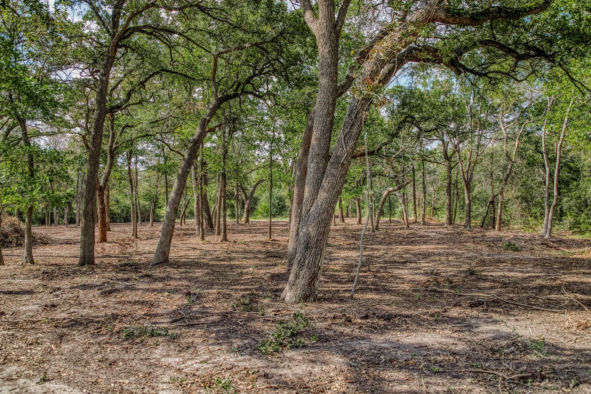 Tbd Sun Oil Road Property Photo 8