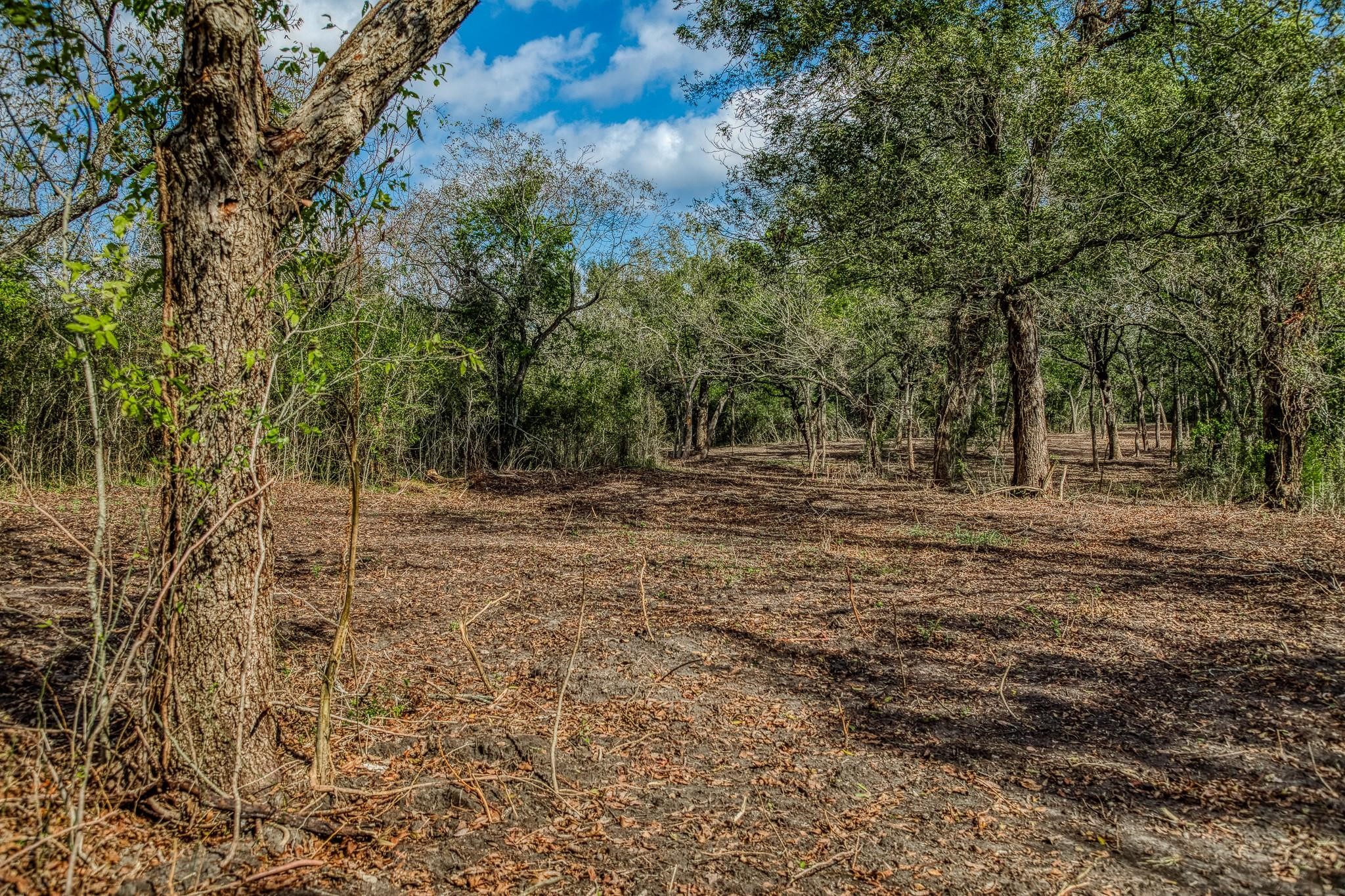 Tbd Sun Oil Road Property Photo 27
