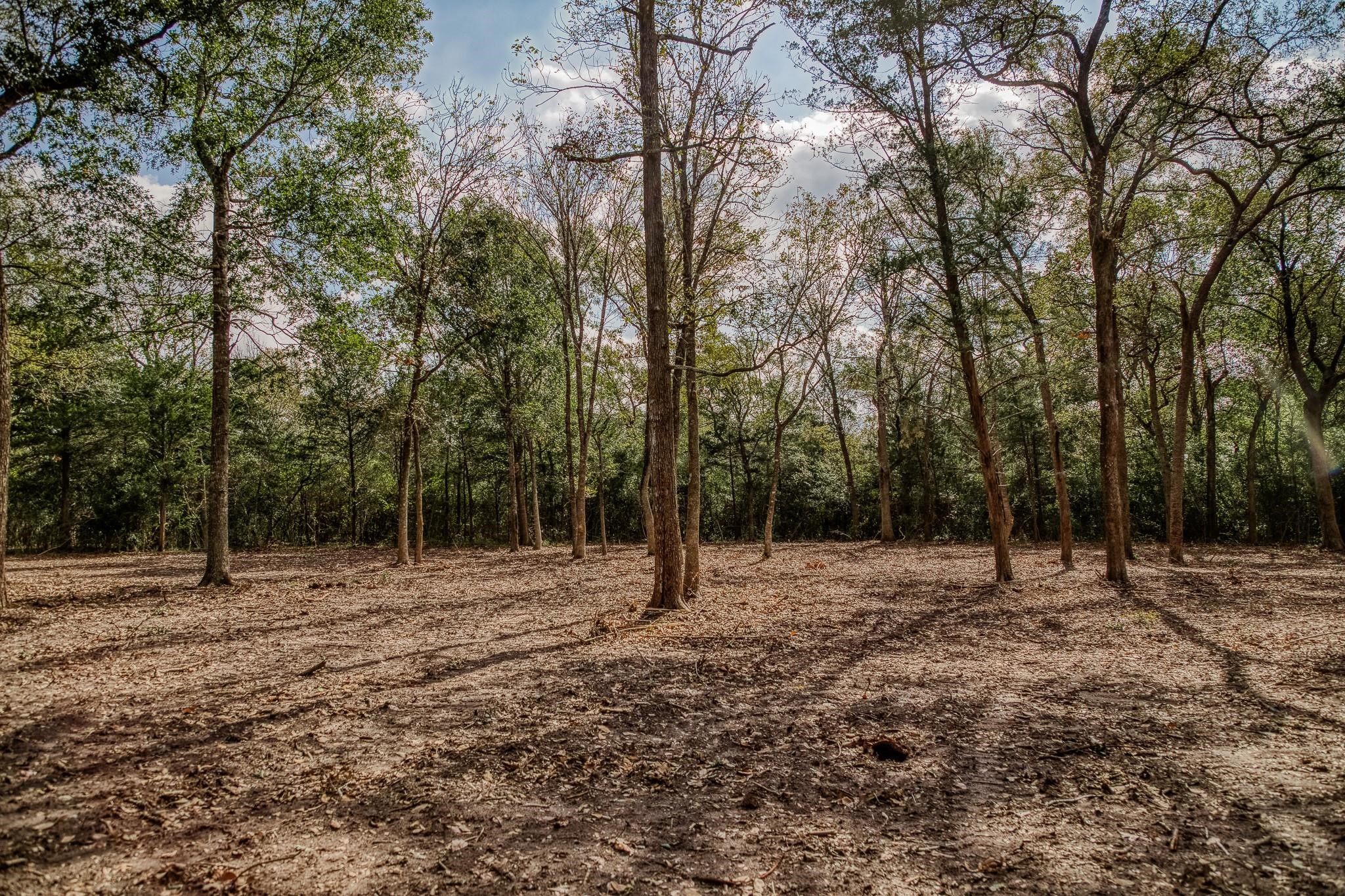 Tbd Sun Oil Road Property Photo 33