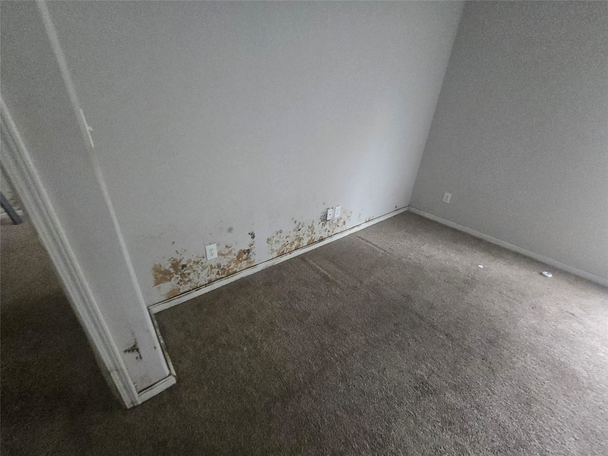 6174 An County Road 103 Property Photo 5