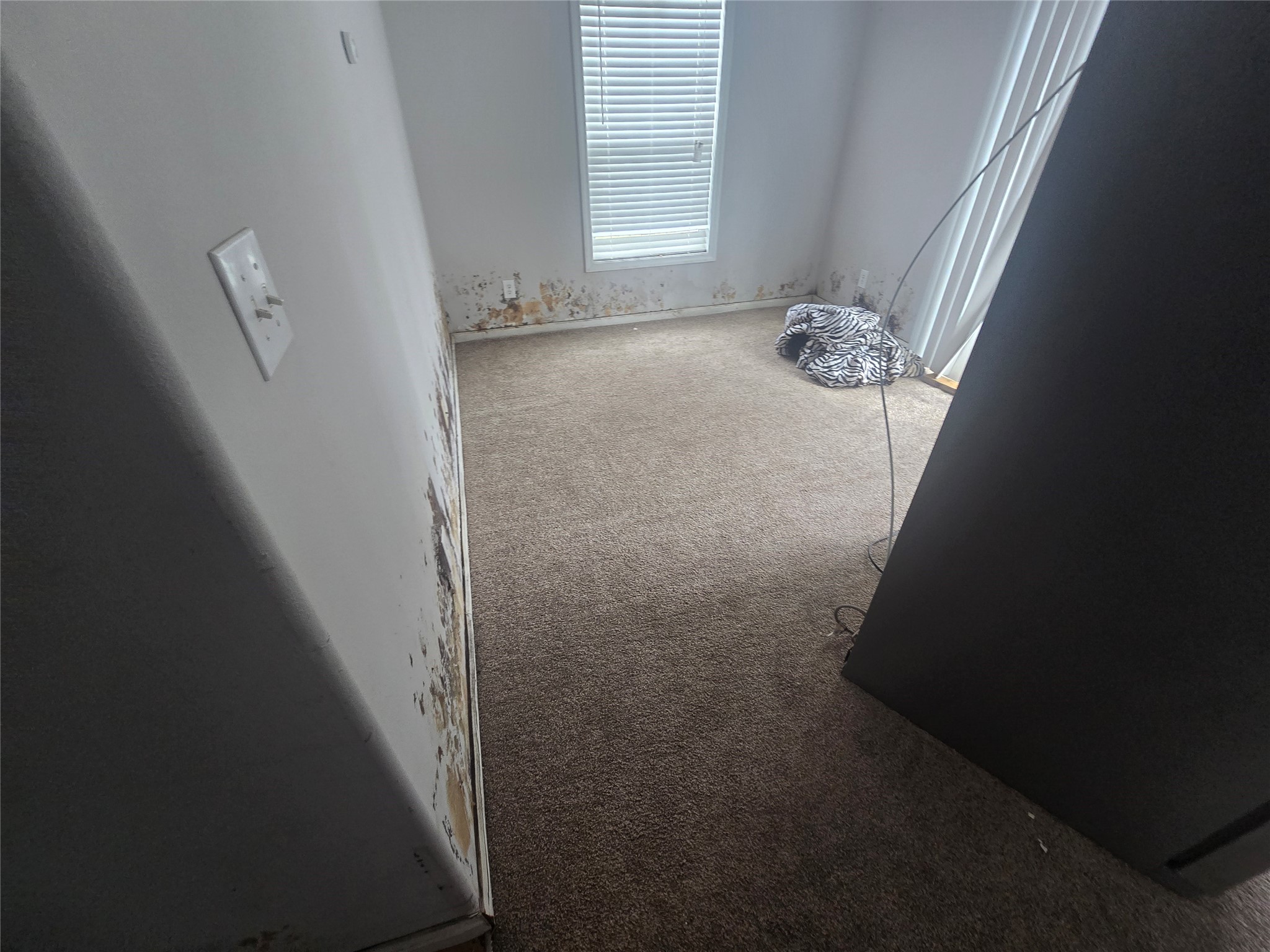 6174 An County Road 103 Property Photo 6