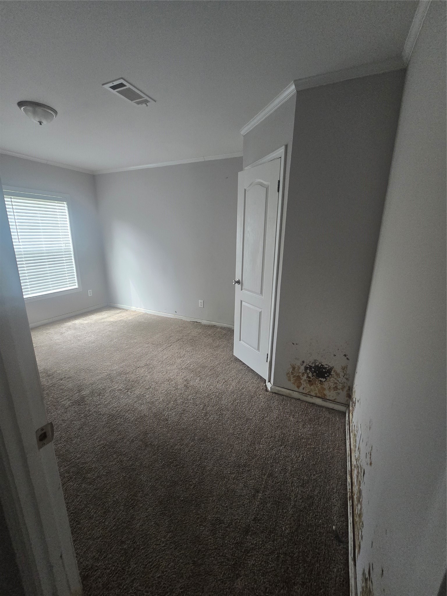 6174 An County Road 103 Property Photo 7