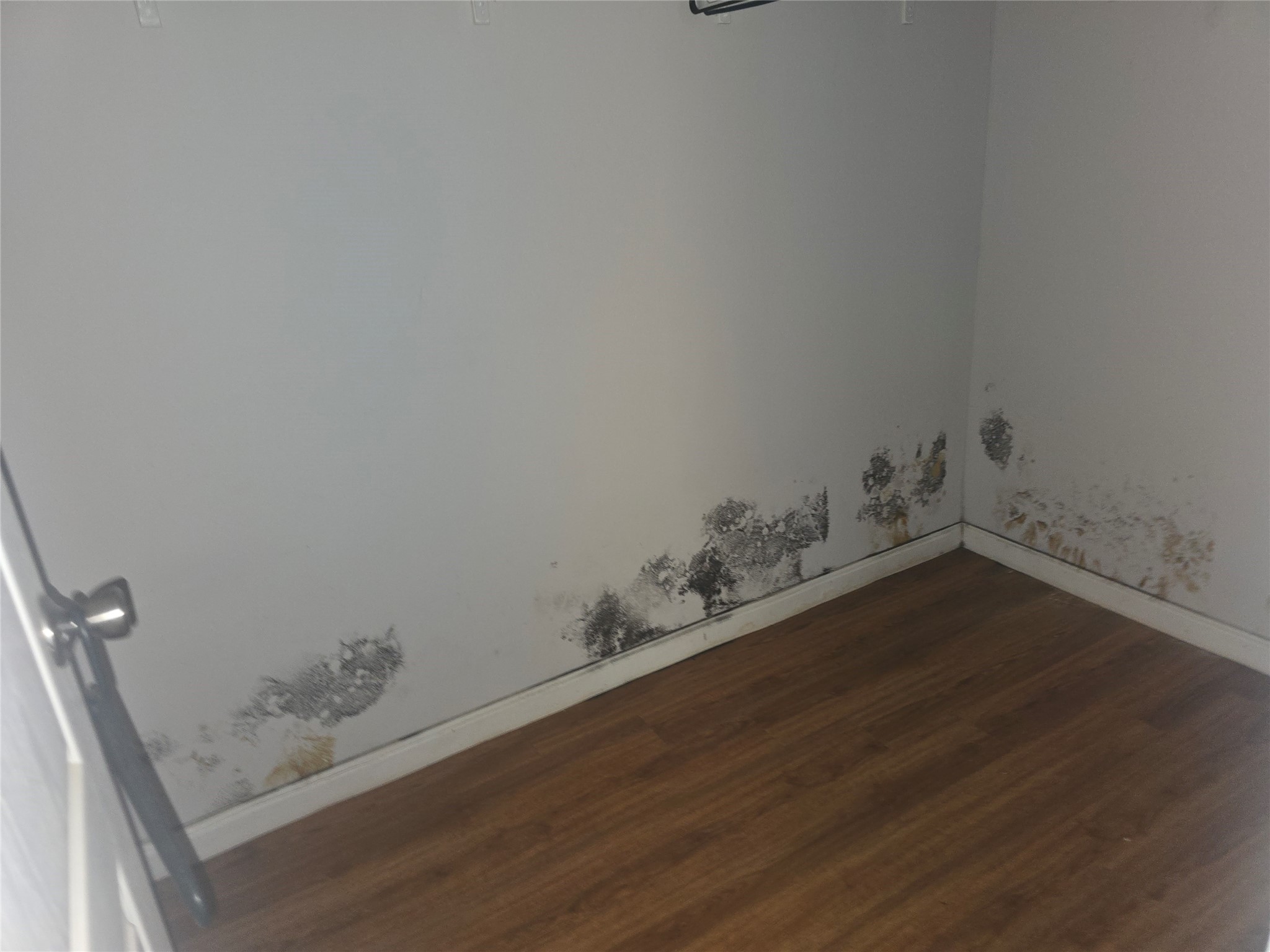 6174 An County Road 103 Property Photo 10