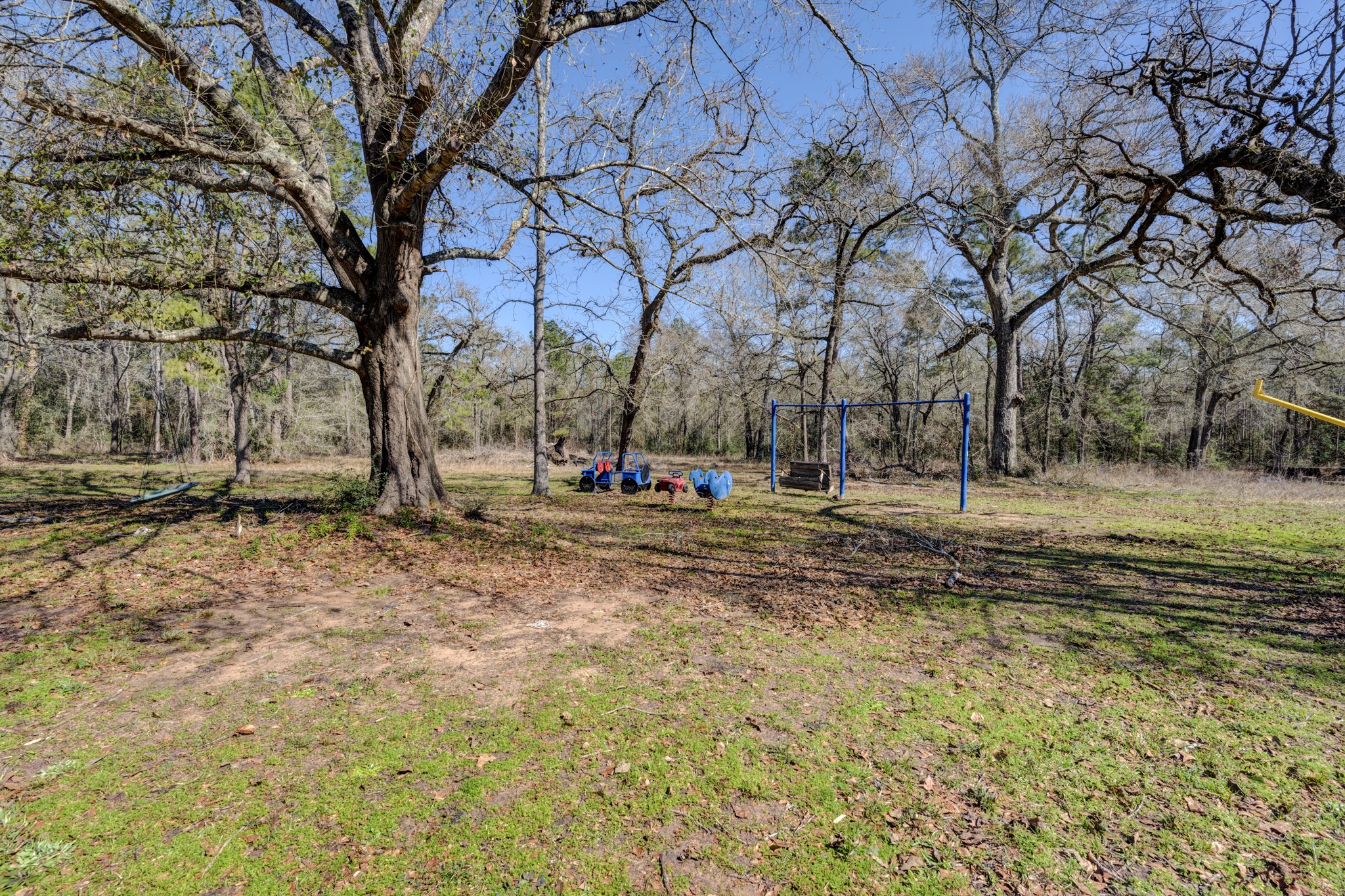 26710 Bayou Tesch Drive Property Photo 43