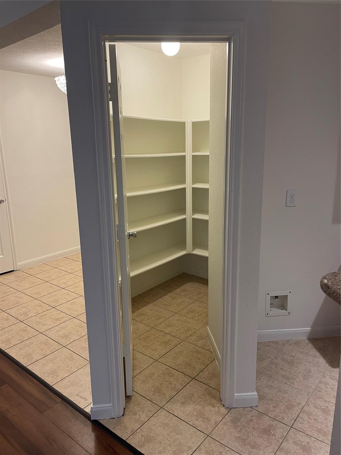 26147 Parkman Grove Drive Property Photo 10