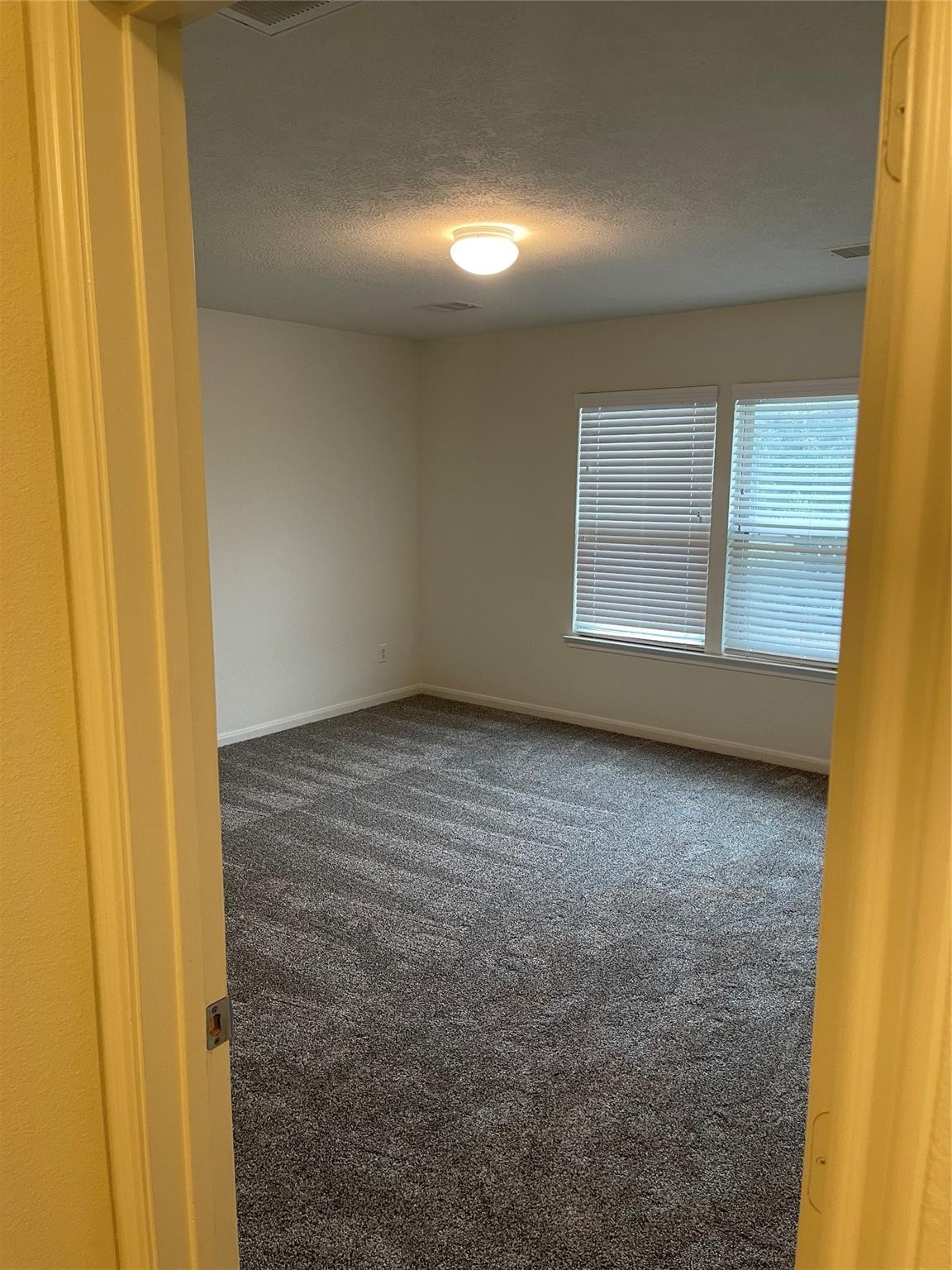 26147 Parkman Grove Drive Property Photo 16