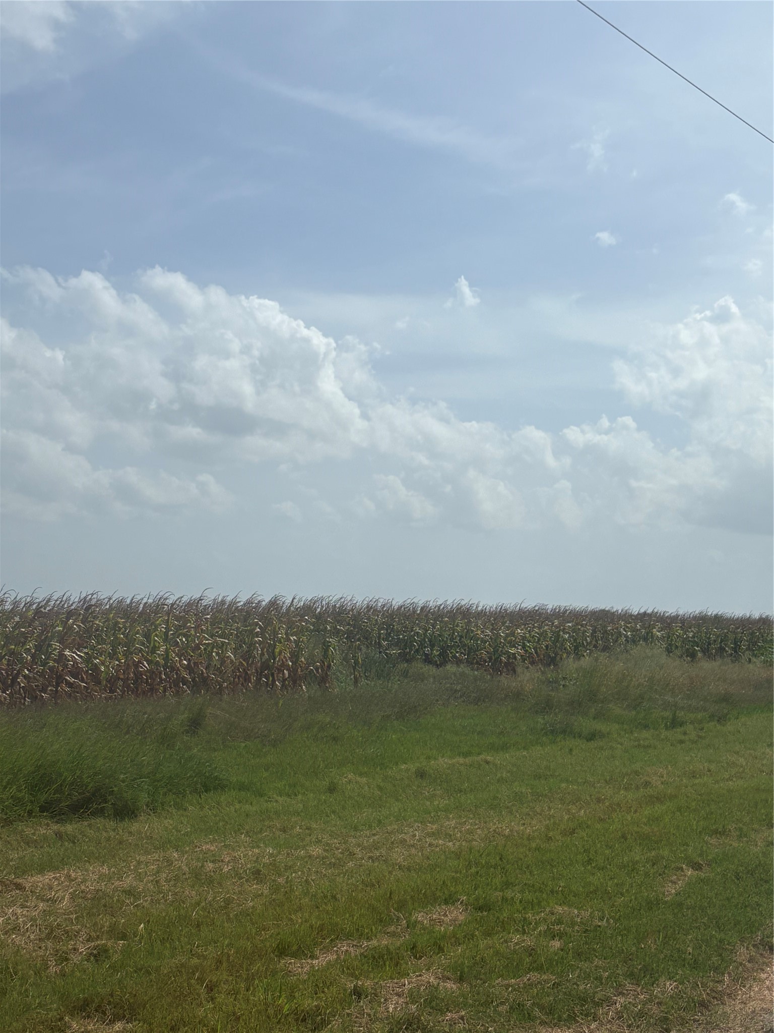 000 County Road 3364 Property Photo 1