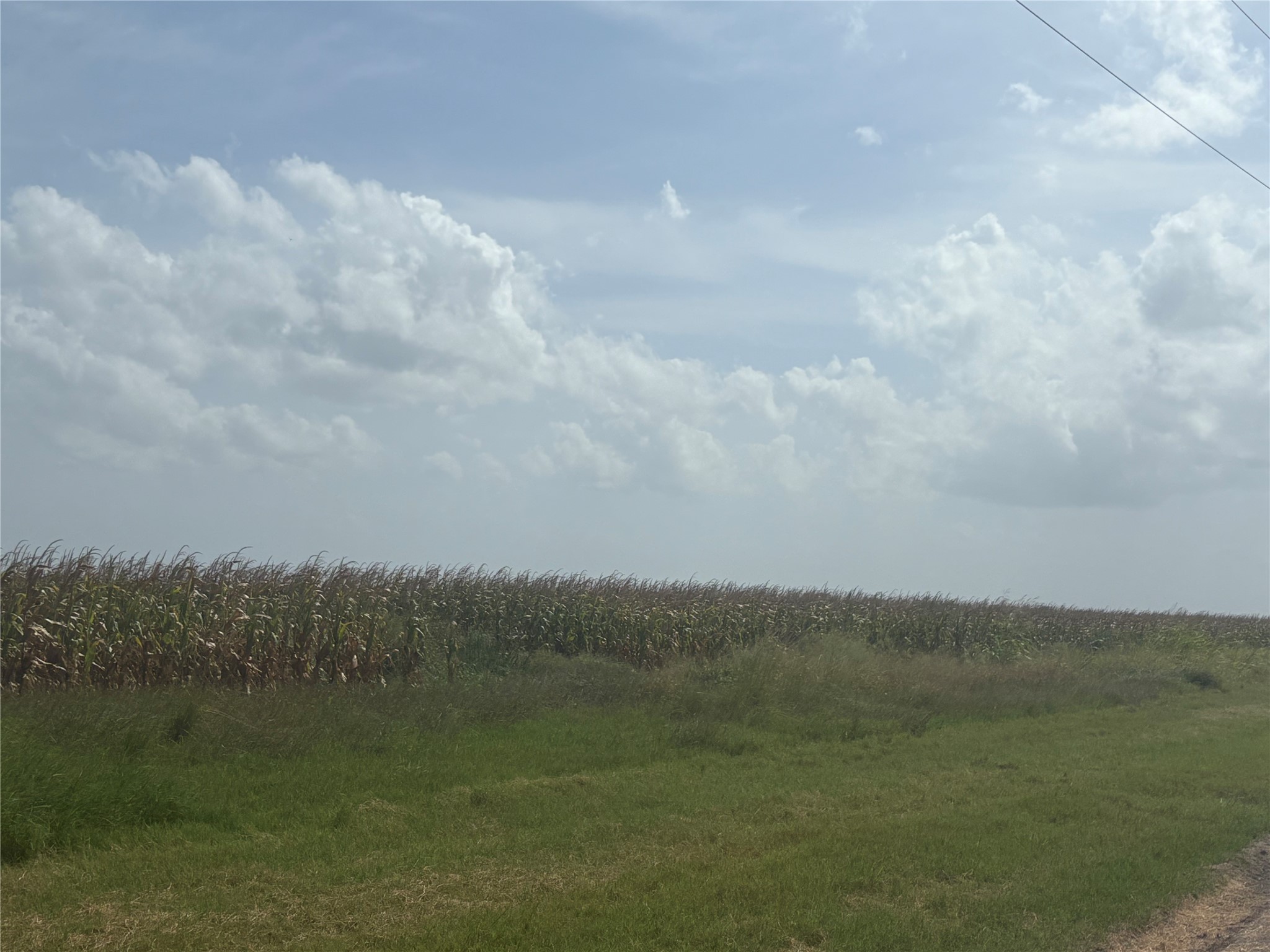 000 County Road 3364 Property Photo 4
