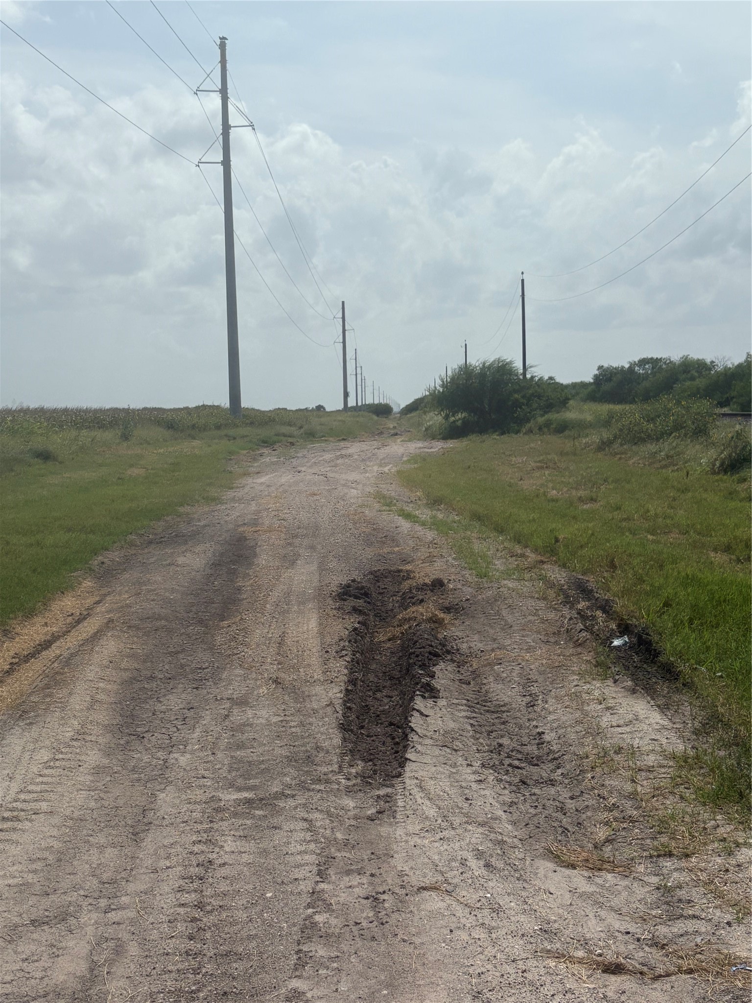 000 County Road 3364 Property Photo 5