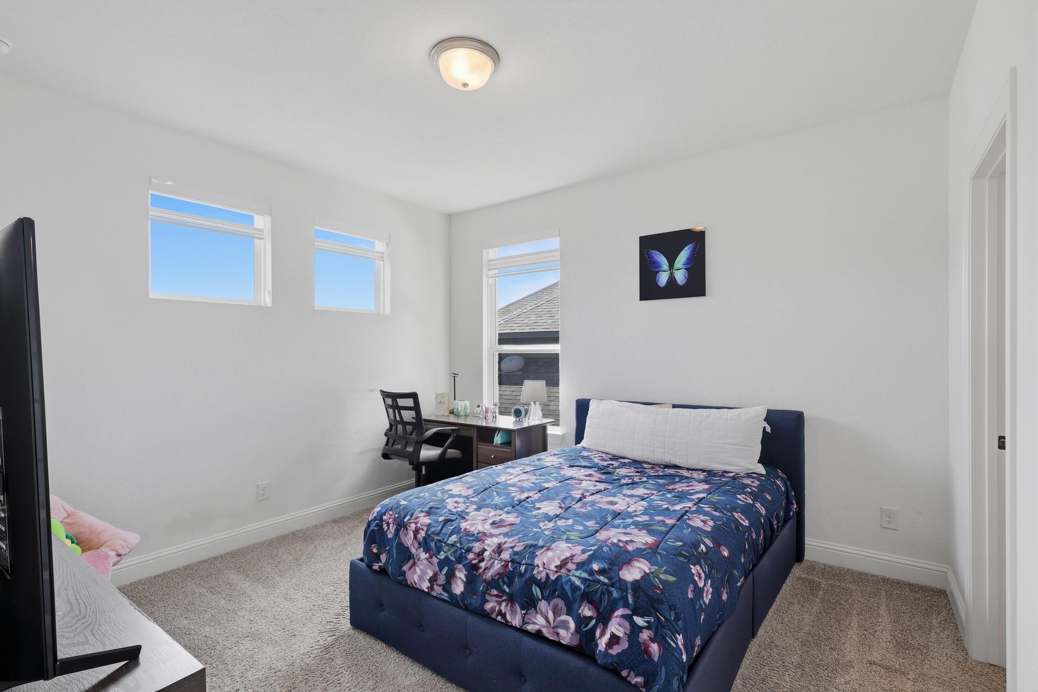 10528 Scarce Chaser Street Property Photo 35