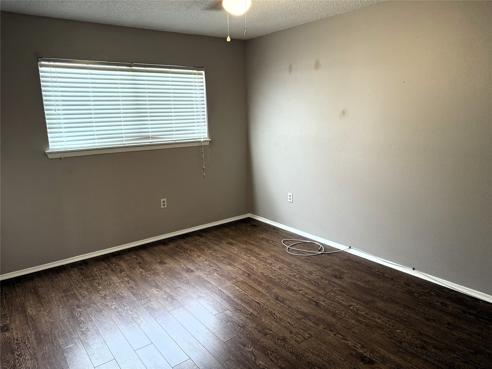 62 Evanston Street 2/5 Property Photo 20
