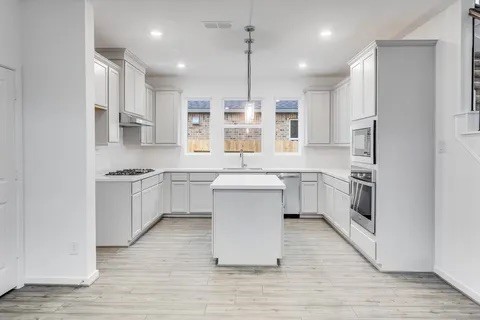 21903 Wycombe Terrace Way Property Photo 4