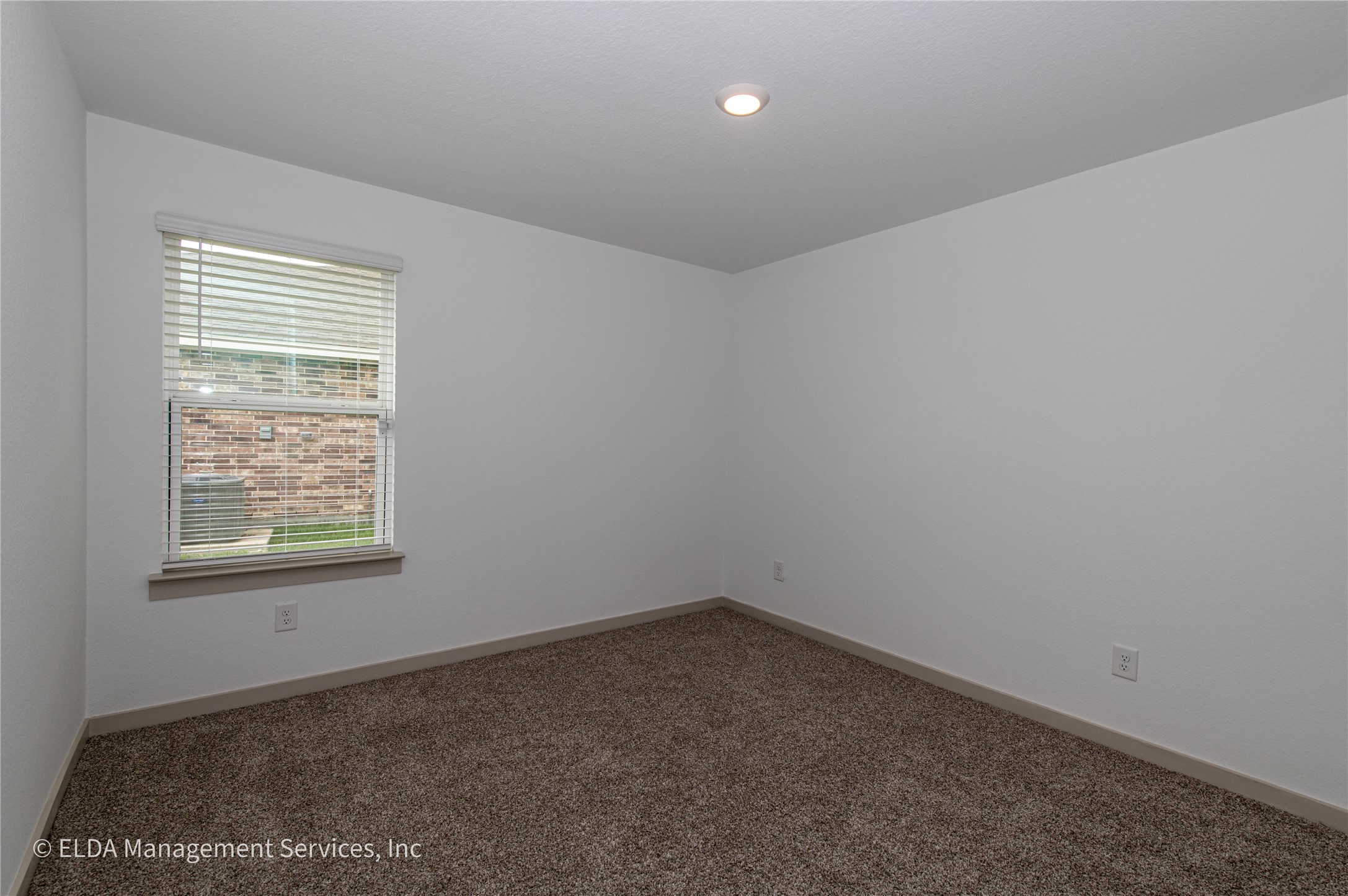 8038 Brahman Lane Property Photo 16