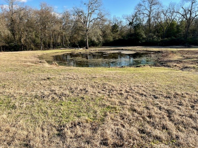 9036 County Road 329 Property Photo 8