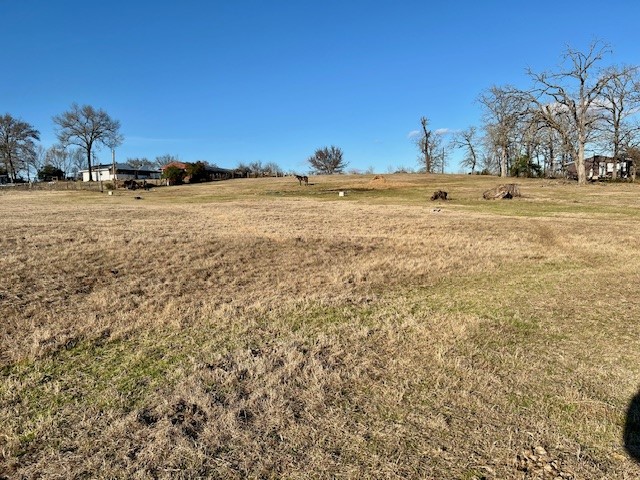 9036 County Road 329 Property Photo 10