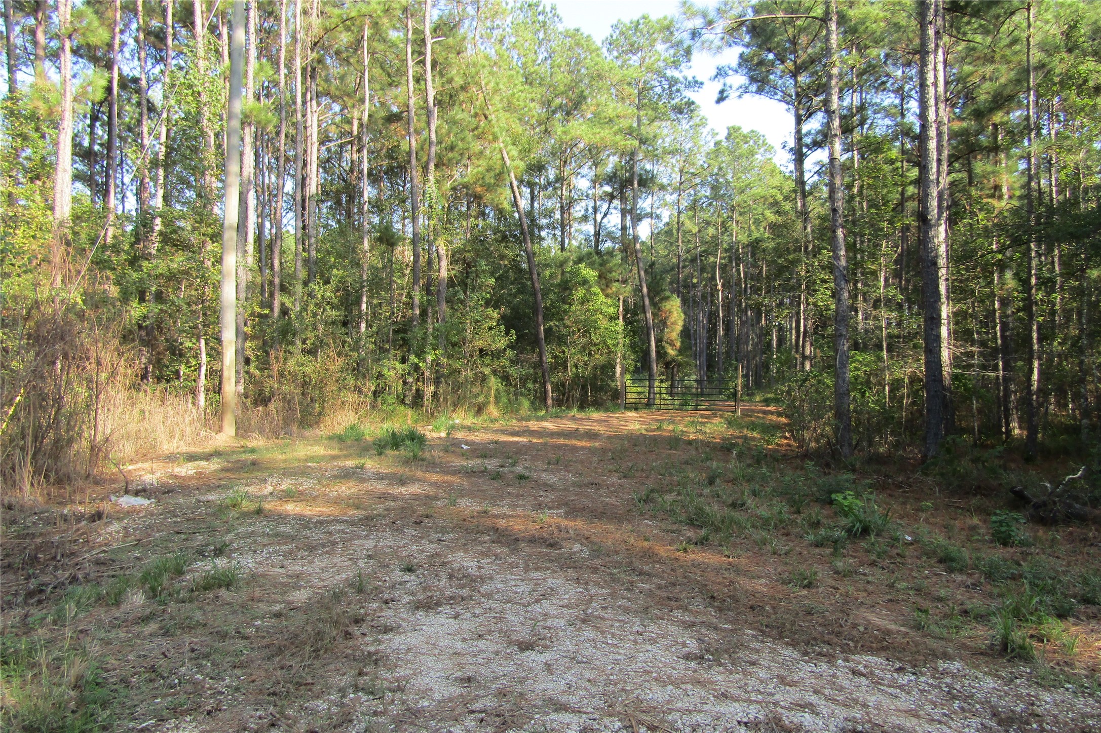 801 Pelican Road Property Photo 1