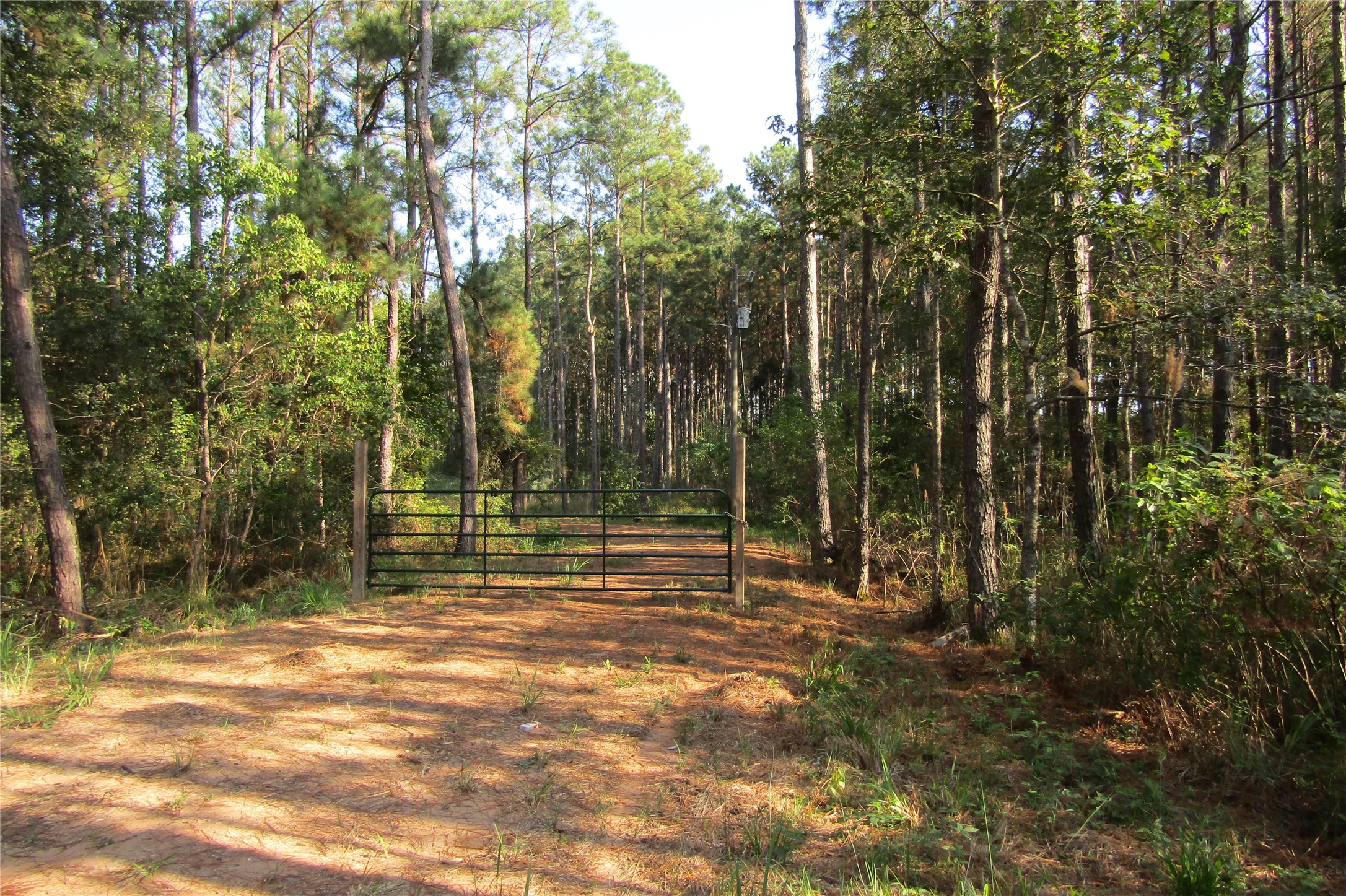 801 Pelican Road Property Photo 2