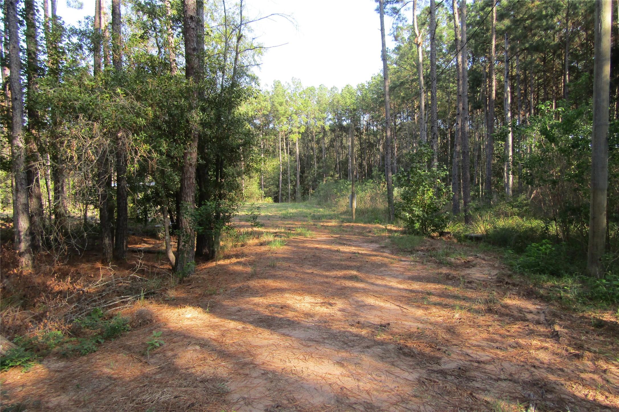 801 Pelican Road Property Photo 3