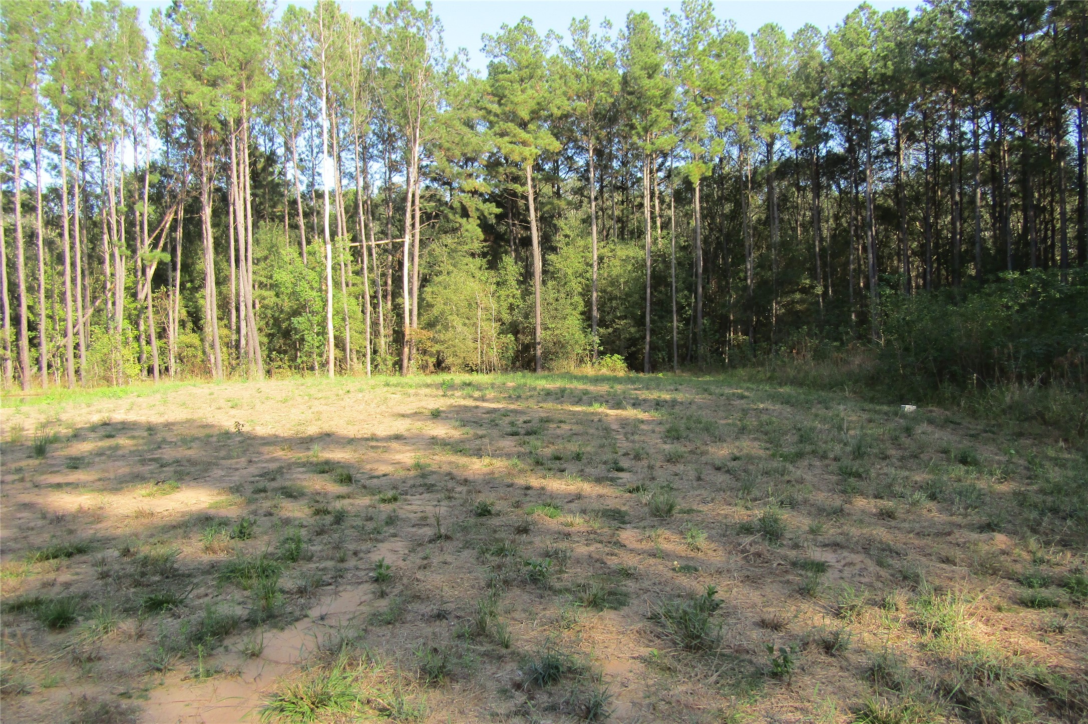 801 Pelican Road Property Photo 4