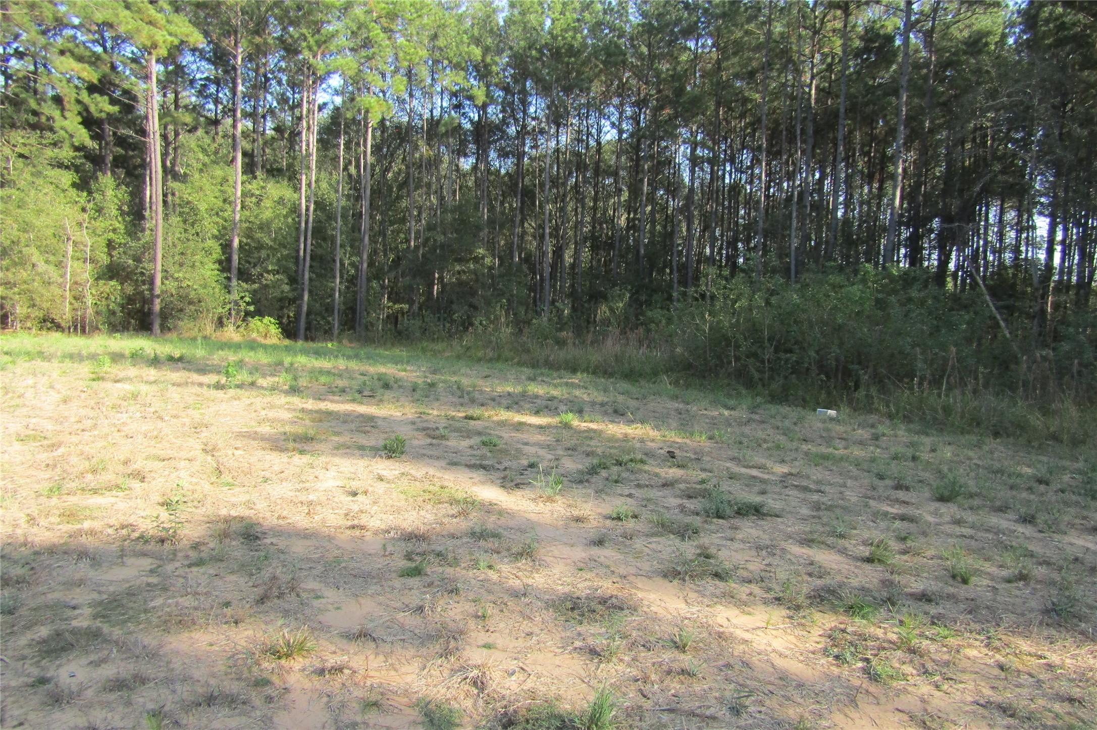 801 Pelican Road Property Photo 5