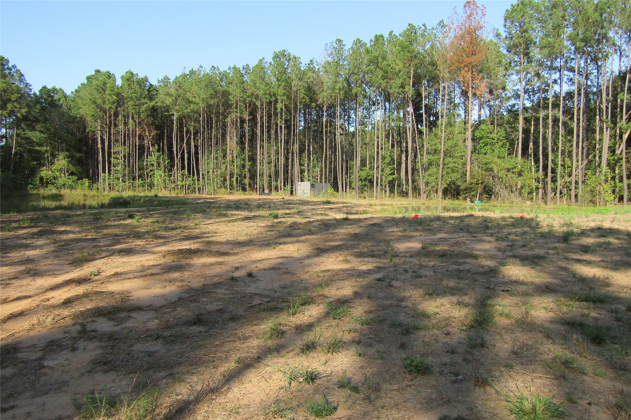 801 Pelican Road Property Photo 6