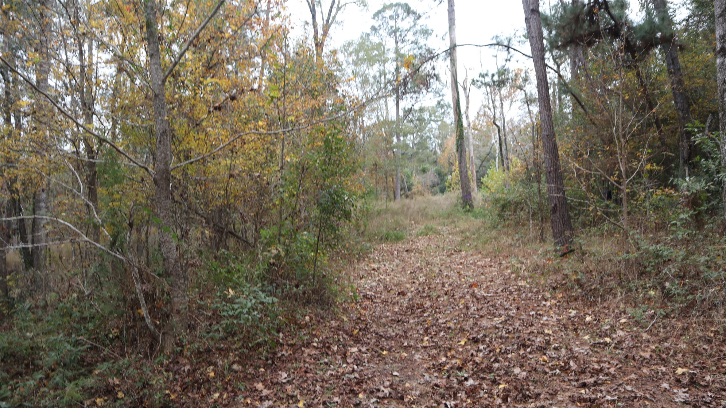 0 E Mourning Dove Property Photo 3