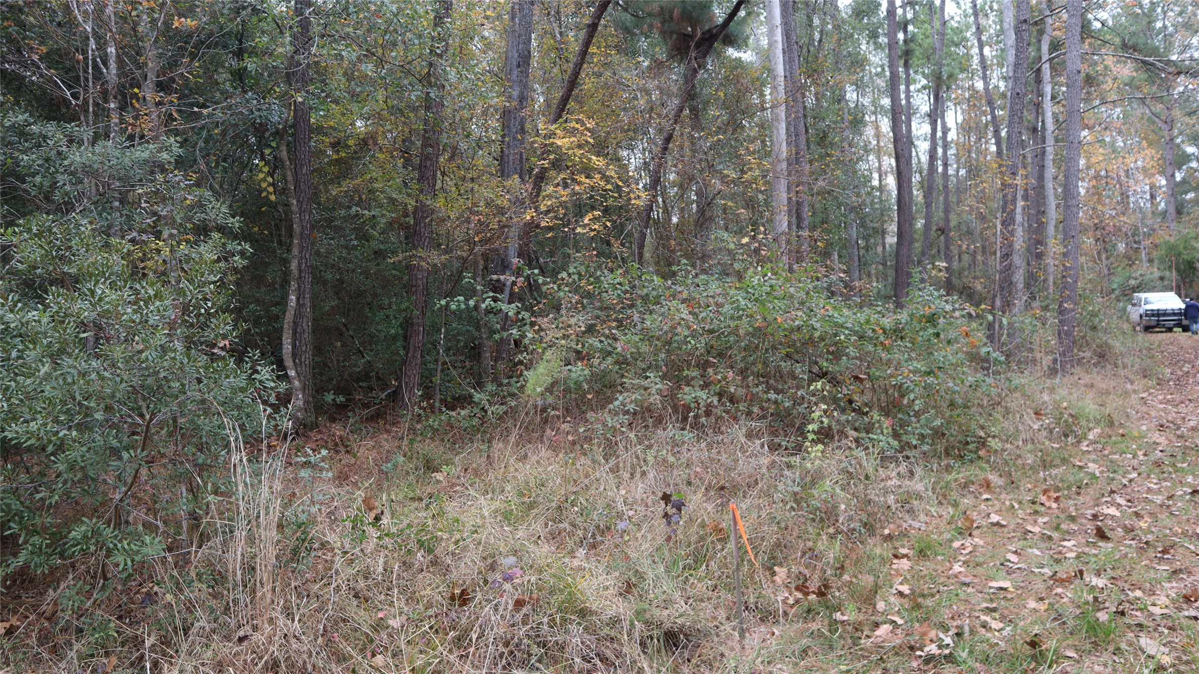 0 E Mourning Dove Property Photo 6