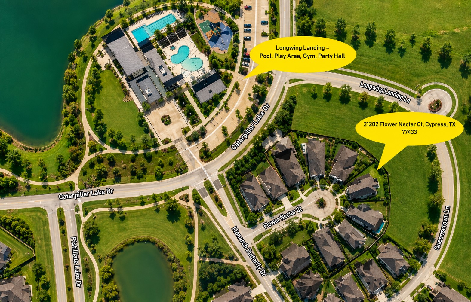 21202 Flower Nectar Court Property Photo 21