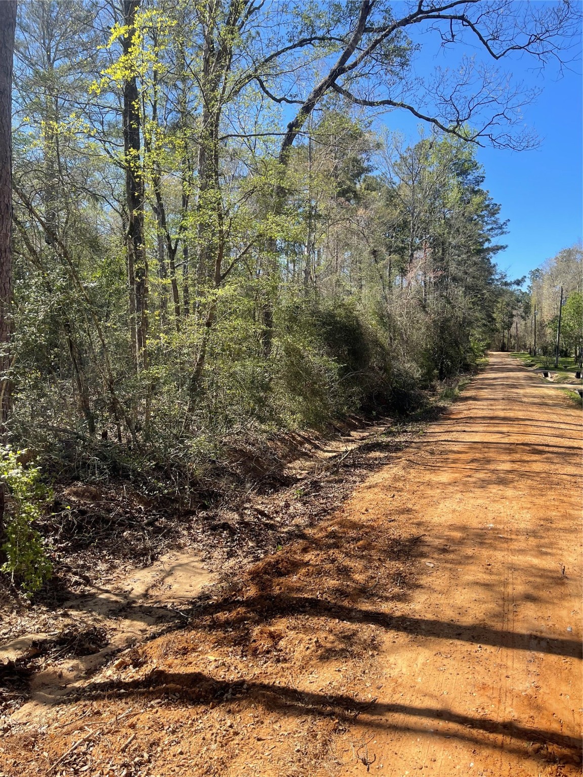 Tbd Stacy Jobe Road Property Photo