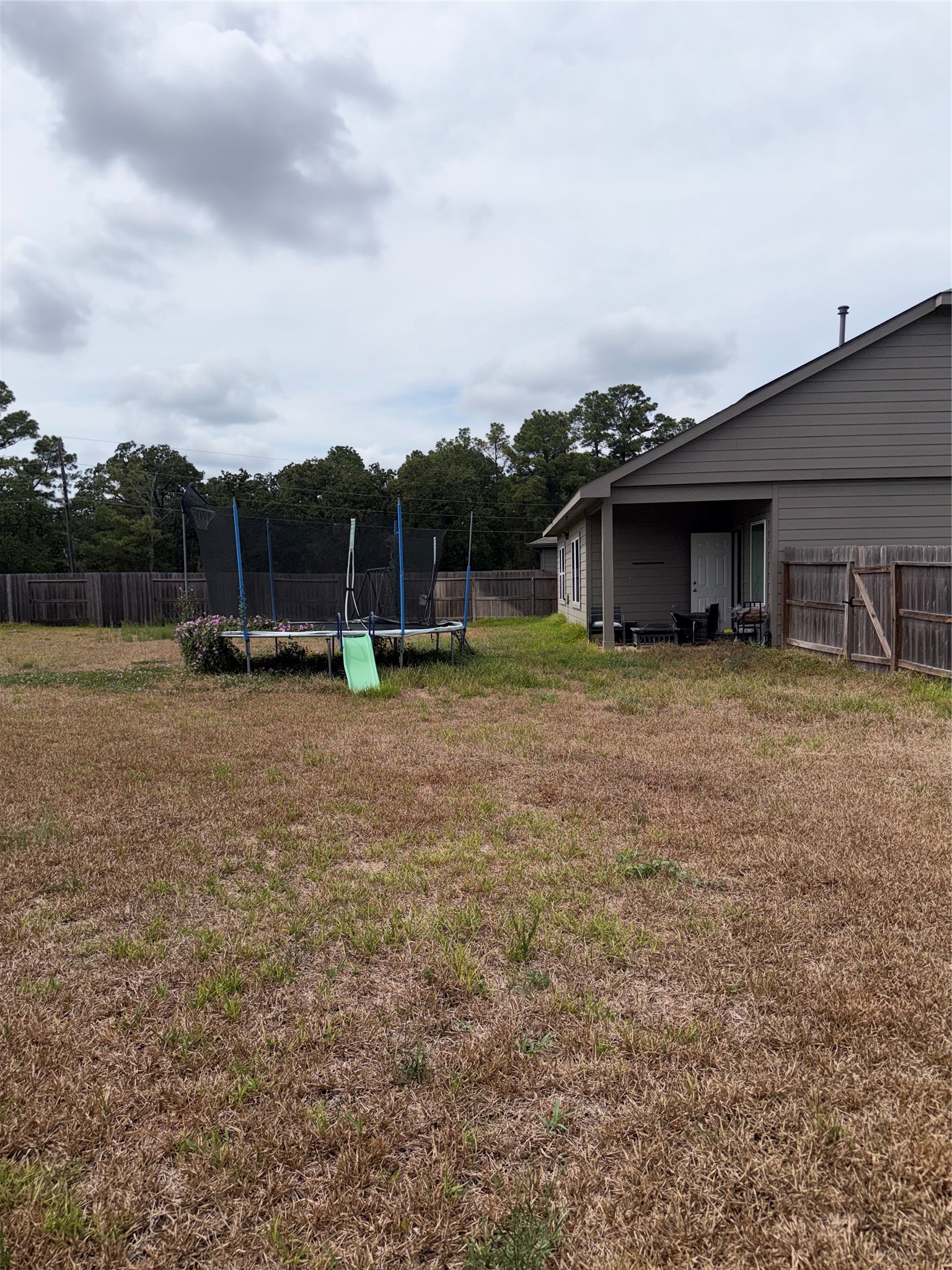 16867 Twisted Needle Drive Property Photo 19