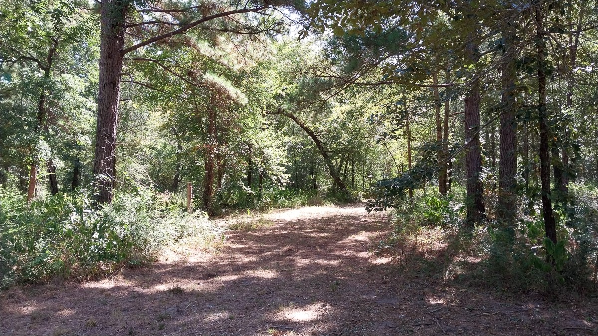 134 Cedar Ridge Property Photo 3