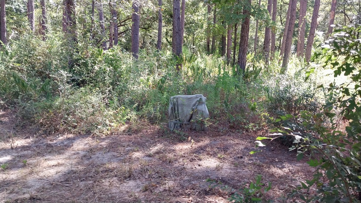 134 Cedar Ridge Property Photo 4