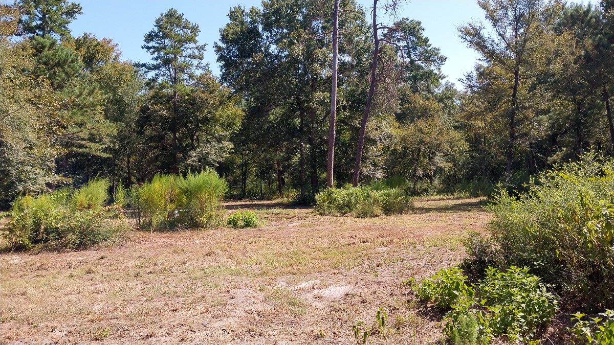 134 Cedar Ridge Property Photo 13