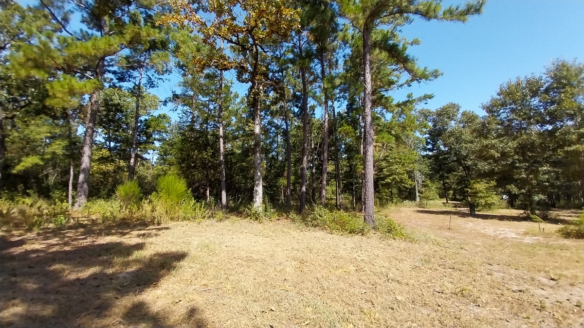 134 Cedar Ridge Property Photo 14