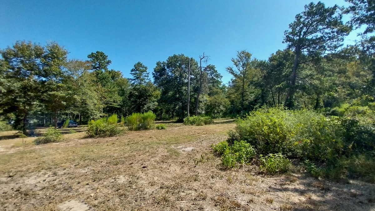 134 Cedar Ridge Property Photo 15