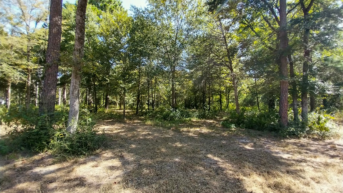 134 Cedar Ridge Property Photo 17