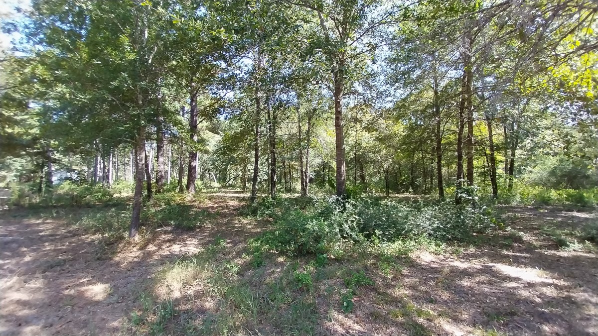 134 Cedar Ridge Property Photo 19