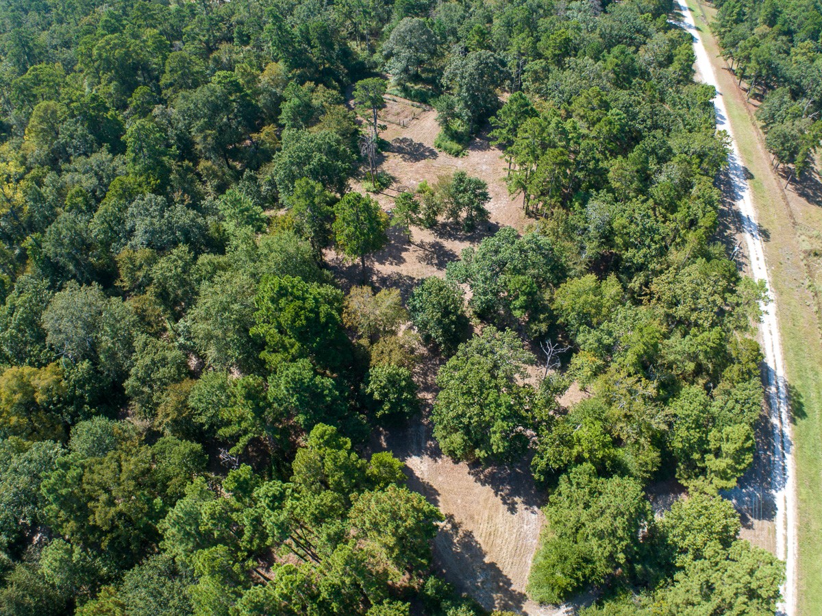 134 Cedar Ridge Property Photo 21