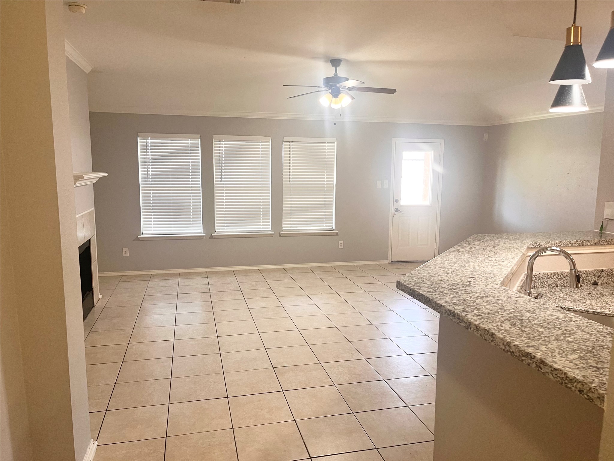 6010 Stirring Winds Lane Property Photo 4