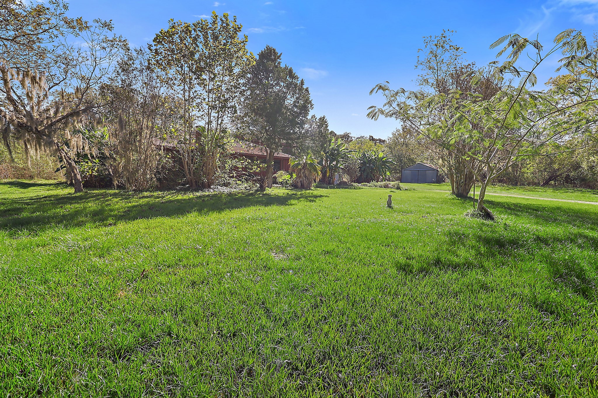 2456 Fm 2797 Property Photo 30