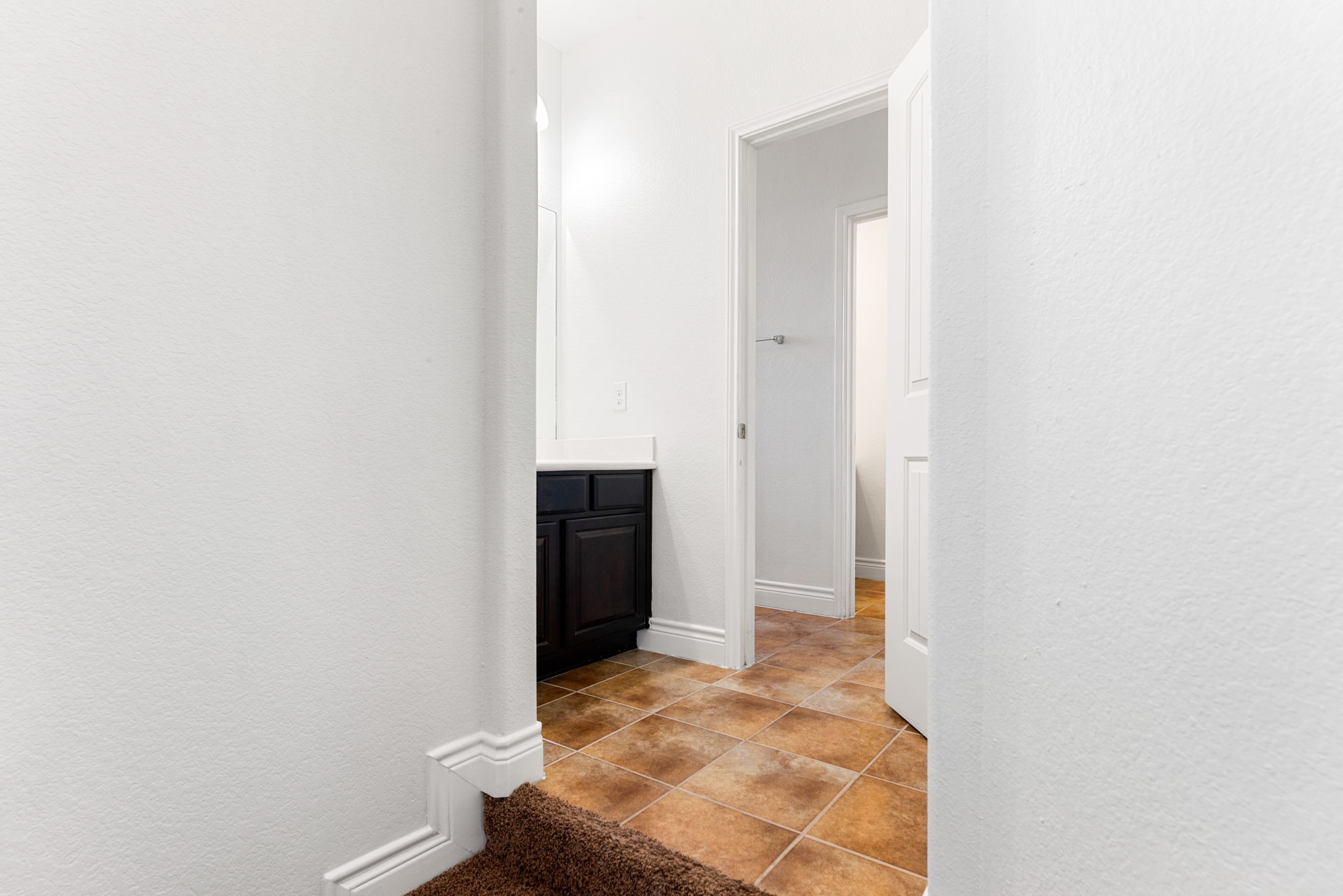 3318 Elizabeth Springs Court Property Photo 25