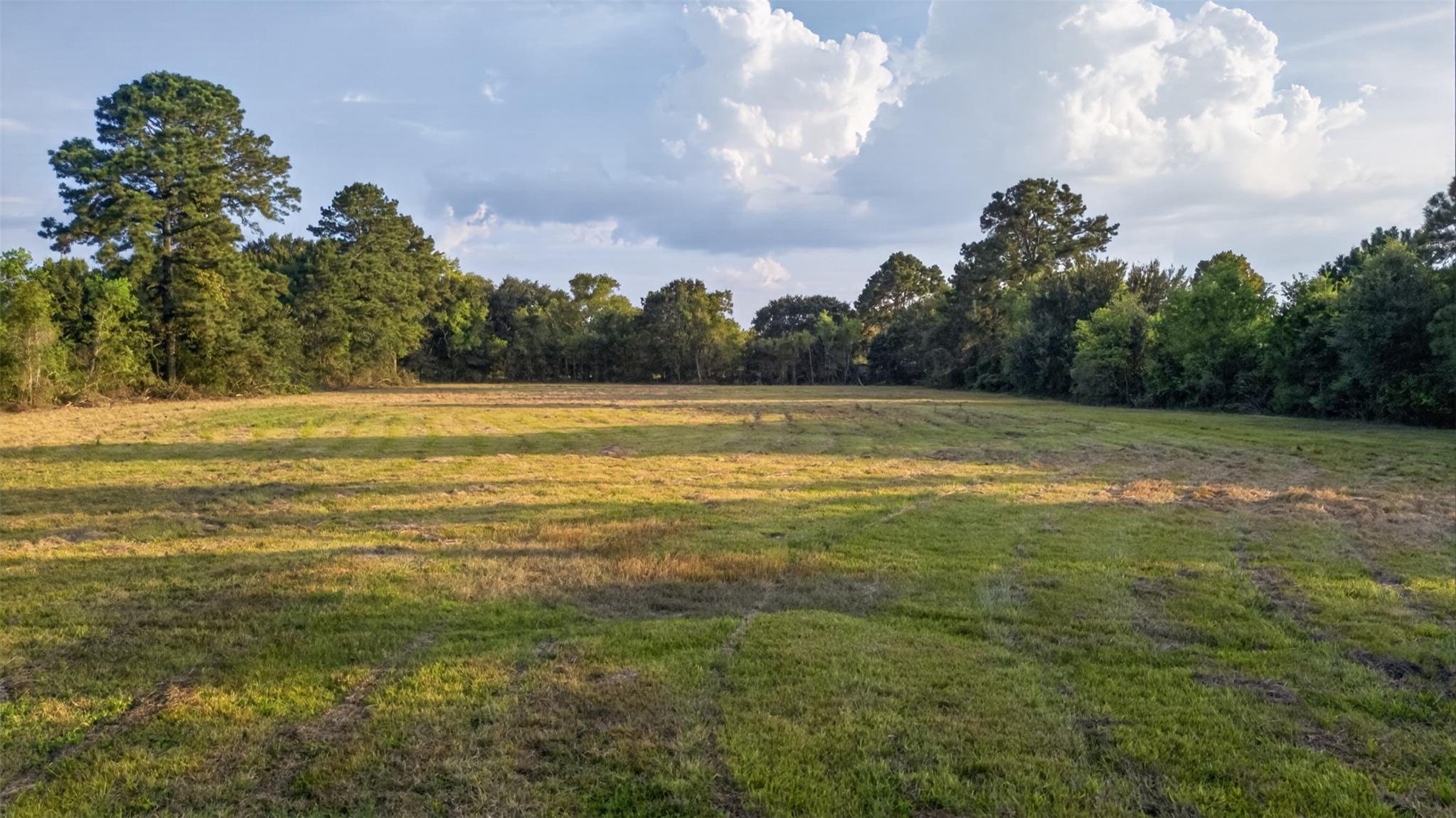 952 Cook Road Property Photo 3
